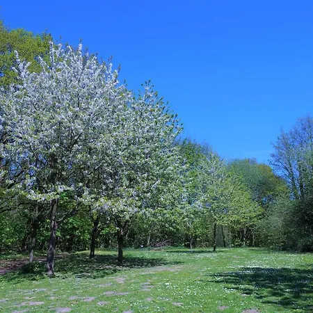 Panoramic App B08-9 아파트 지르크도르프